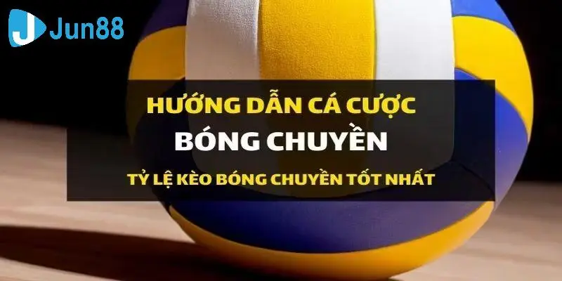 Bật mí kinh nghiệm chơi cá độ bóng chuyền